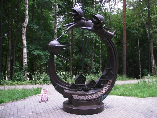 К особенностям жизни в Томилино