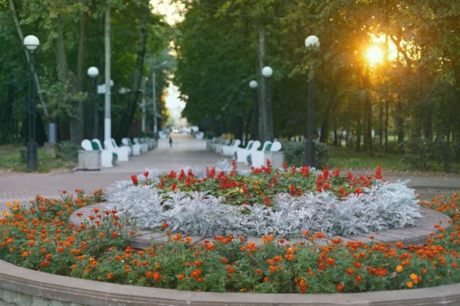 Переезд с детьми в городок Подмосковья
