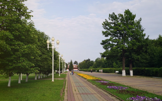 Аллея в парке Ступина