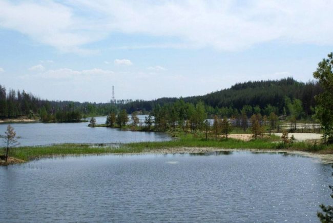 Город Луховицы в Подмосковье - стоит ли переезжать на ПМЖ