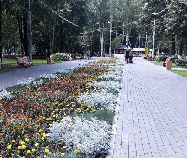 Городской парк культуры и отдыха