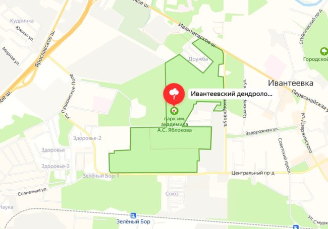 Дендрологический парк