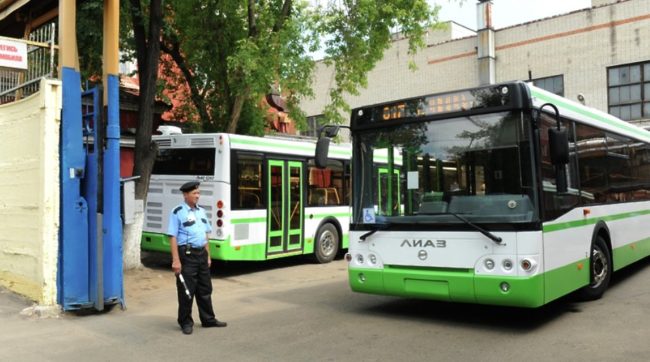 Автобусы