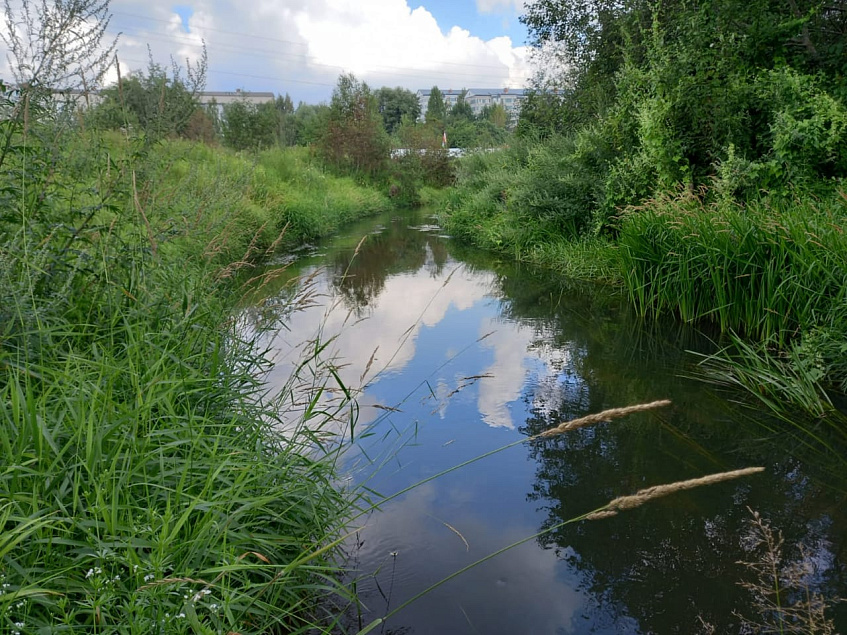 река маглуша рыба дохнет
