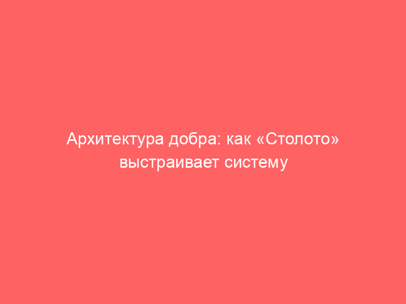 Архитектура добра: как «Столото» выстраивает систему непрерывной помощи