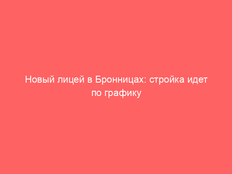 Новый лицей в Бронницах: стройка идет по графику