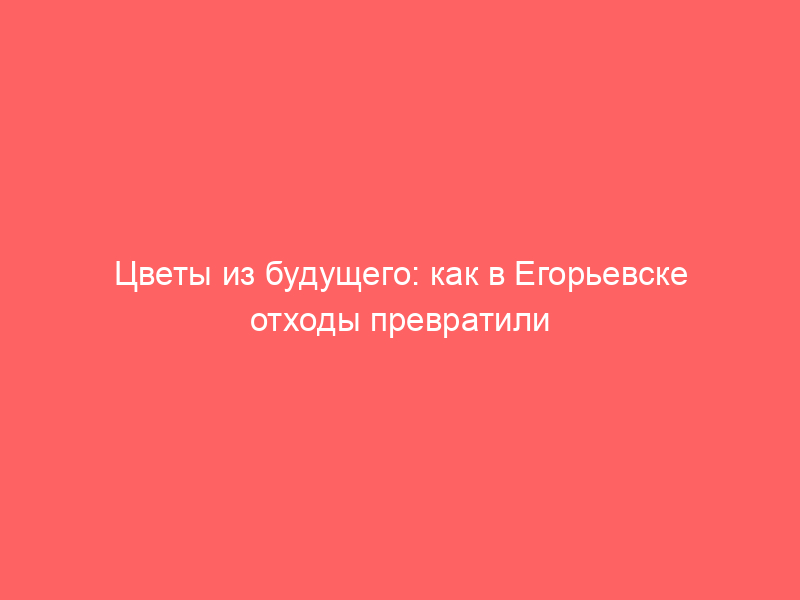 Цветы из будущего: как в Егорьевске отходы превратили в подарок для пенсионеров